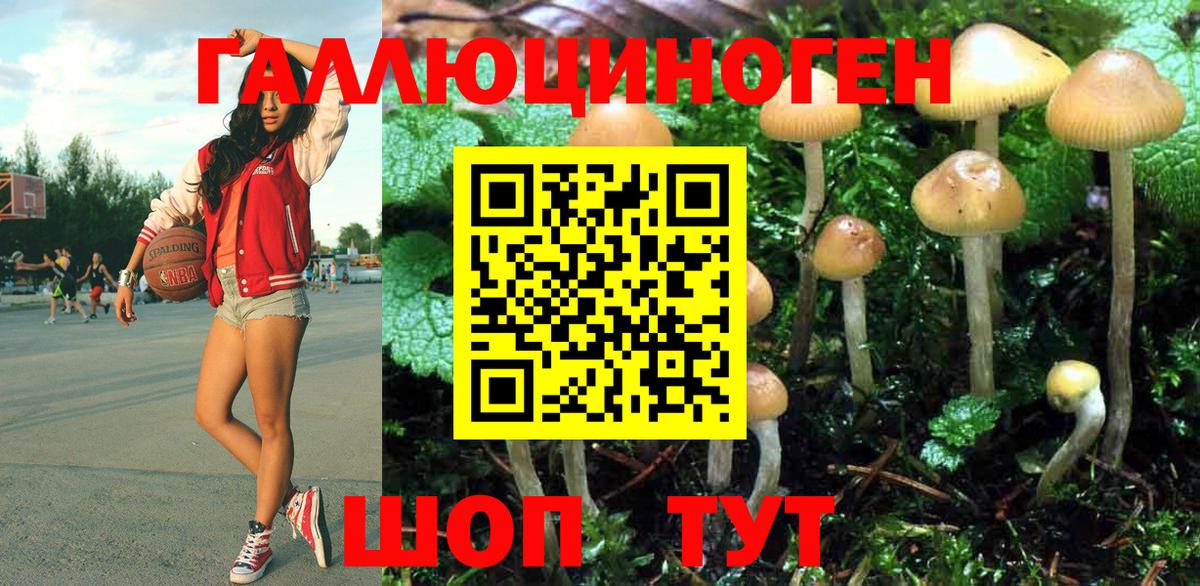 Галлюциногенные грибы Cubensis Трёхгорный