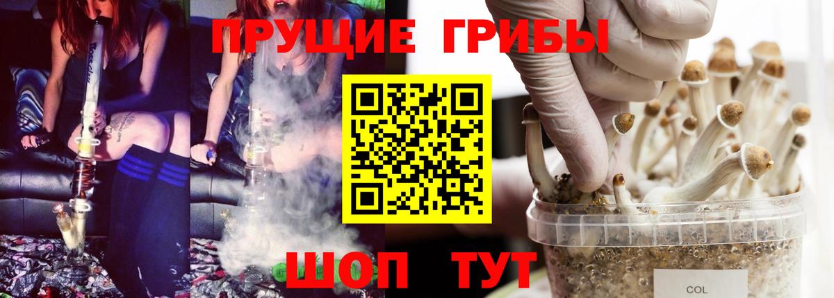 Галлюциногенные грибы GOLDEN TEACHER  Вход с VPN  Трёхгорный 
